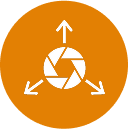 ds-icon